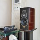 과르네리 이미지