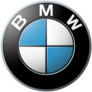 BMW의 뜻을 아세요? 이미지