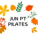 준피티샵 이미지