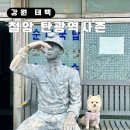 쇠바우골탄광문화장터 | 강원도 태백 가볼만한곳 철암탄광역사촌 볼거리 겨울 애견동반 여행