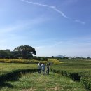 오설록 교차로 이미지