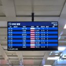 파스프링당구클럽 | 3일]4인 가족 나트랑 여행 DAY 1 ✈️ [마담프엉] [웰스파] [동하이 씨푸드] 랍스터 파티! 김청·김빈 단속...