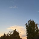 콜 | 2025 유다빈밴드 단독 콘서트 '우리의 밤-커튼콜' 후기