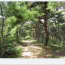 영해초등학교 앞 이미지