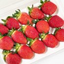 (주)네오게임즈 이미지