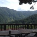 손영호농장 이미지