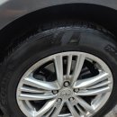 오토엘리펀트 이미지