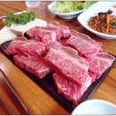 송화명가