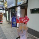 똑똑카페 | 부산 남포동 10년 전통 고양이 카페 방문 후기 - 똑똑한 고양이들의 특별한 서비스