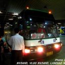 구.복사초 이미지