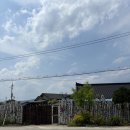 토르스테이 이미지