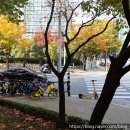 평촌중앙공원 입구 이미지