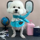 까까멍멍 이미지