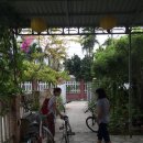 [시민제안강좌] 궁금한 이웃나라 중국 | 호이안에서 하는 쿠킹클래스 후기 (2주동안 베트남여행하는 일정)