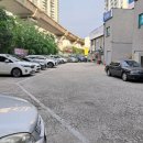 슈가복싱 프리미엄 이미지