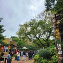 희망드림렌트카 이미지