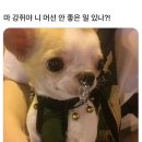 인생뽑기 이미지