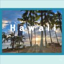 여행자를 위한 여행영어 | 하와이 신혼여행 초보여행자를 위한 솔직 후기 1탄