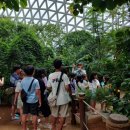 거제식물원 이미지