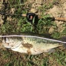 청풍하키장 이미지