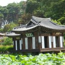 강릉햇살 티스토리