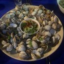 아지트 포 독 이미지