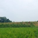 홍북읍 상유정마을회관 | [2021타경2915] 충남 홍성군 홍북읍 신정리 125-6 &lt;&lt;홍성토지(전)경매&gt;&gt;