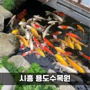 시흥 아이랑 갈만한 곳 용도수목원 ｜먹이주기체험 및 시설에 대한 솔직후기