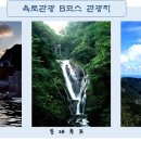 투어울릉