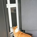 바닷가펜션크리스마스애견동반