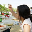 휴일엔캠핑장 이미지