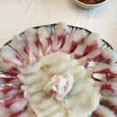 칠암파도횟집 - 기장군 문오성길 551 | [기장 금복횟집] 한적한 바다가 보이는 기장횟집 애견동반도 가능한곳
