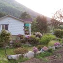 진교당구장 이미지