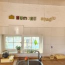 둥지애견 | 강원도 평창 야외스냅 사진 촬영 후기, 애견 동반 청소년 가족 사진 찍기 너무 좋은 곳