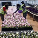 백양산 양묘장 이미지