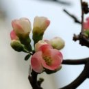 연제구청 이미지