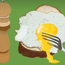 안전지대 휘트니스 이미지