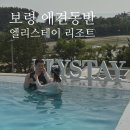 무창포비치호텔 | 보령가족여행 :: 대천해수욕장, 반려동물동반 숙소, 아기랑 함께 엘리스테이 보령 리조트