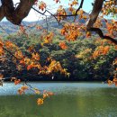 속리산둘레길 보은길3 이미지