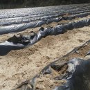 바른골펜션 이미지