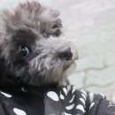 (주)올네이쳐 이미지