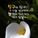 꽃잠 - 논산시 중앙로210번길 10 | 꽃잠