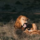 헬리오스 이미지