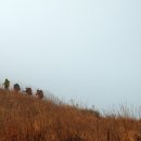 삼호교민박 | 거문도, 동백숲길을 걷다.