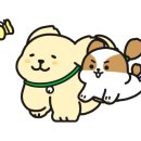 아프리카 동물의료센터 이미지