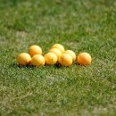 우리골프 이미지