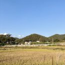 양곡골 | [충청남도 천안] 근교 시골 촌캉스 숙소 추천 찐 후기 - 시골램핑