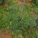 에벤에셀농장 이미지