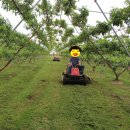 덕호농장 이미지