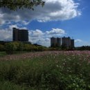 광양커뮤니티센터 이미지